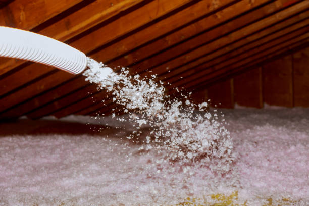 Best Insulation for Specific Applications in Rmel Valley Village, CA